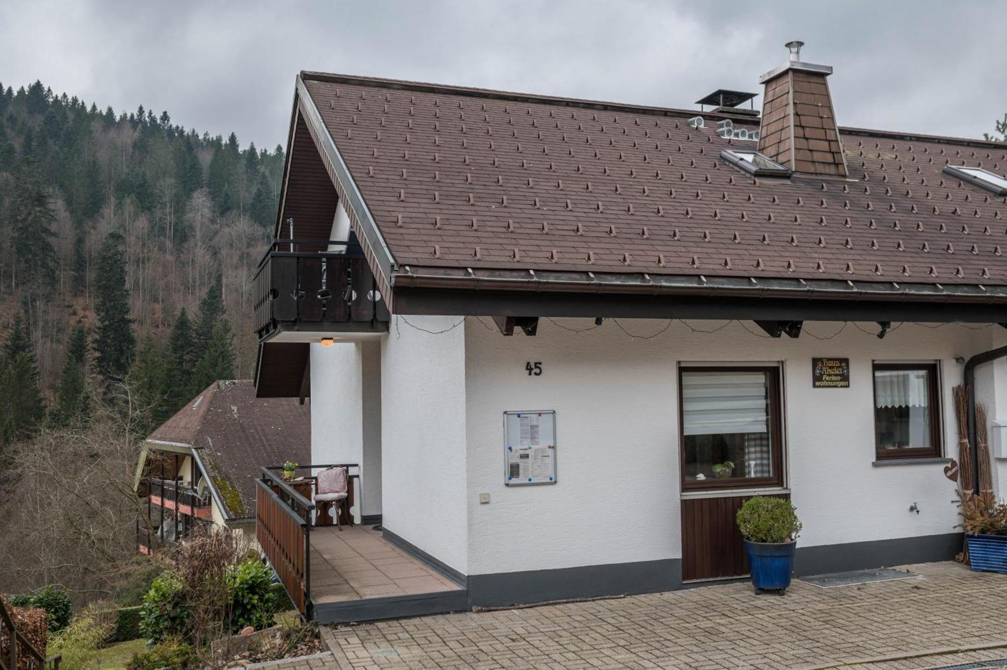Haus Akelei Apartment Todtmoos Bagian luar foto