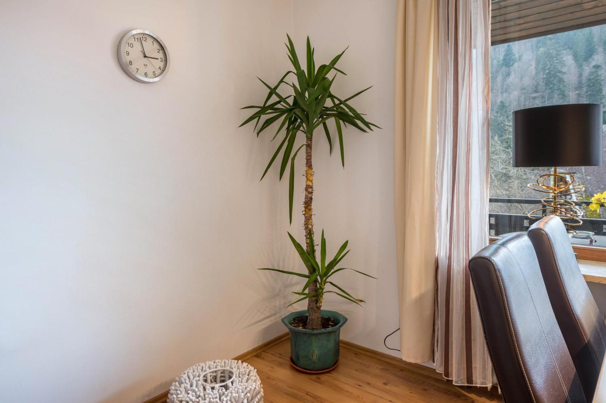 Haus Akelei Apartment Todtmoos Bagian luar foto